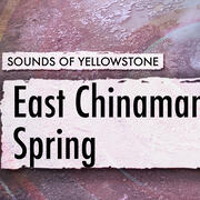 East Chinaman Spring, Sounds of Yellowstone