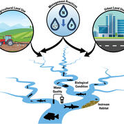 Conceptual diagram of how management practices could have downstream effects on freshwater ecosystems