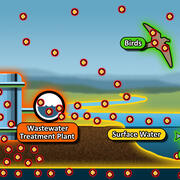 A diagram of PFAS fate and transport 