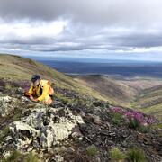 A USGS scientist is collecting structural measurements from a bedrock outcrop in the West Crazy Mountains in eastern interior Alaska. Fireweed is in bloom along the slopes.