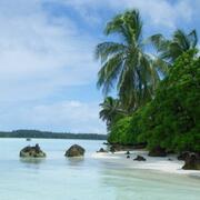 Palm trees line a white sand beach surrounded by clear blue water. Moss-covered black boulders litter the beach.