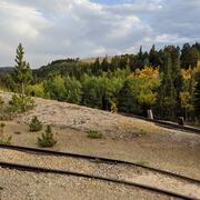 Image of a hillside with trees in background