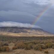 photo of sagebrush field, rainbow, mountain with dark clouds