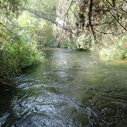 stream surrounded by water