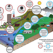 Conceptual diagram showing sources, movement and fate of microplastic particles in the environment. 