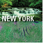 two landscapes with New York written across