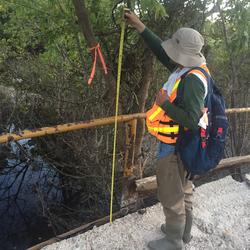 Image shows a USGS scientist in a PDF taking a high-water mark