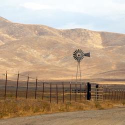 Drought damage on the Fresno Harlen Ranch, California