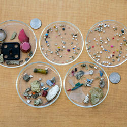 Various types and sizes of plastics collected from the Kinnickinnic River, WI