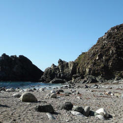 WERC Sea otter research in Big Sur, California