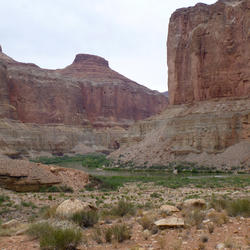 Photo of the Colorado River running through a canyon lined with rocky debris and green vegetation