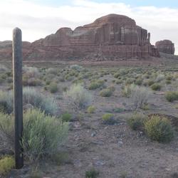 Photo of an abandoned well pad site