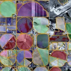 Multi-temporal Landsat NDVI (Normalized Difference Vegetation Index) product overlaid on aerial photographs 