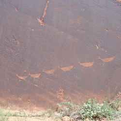 This is a photo of "deer" carvings.