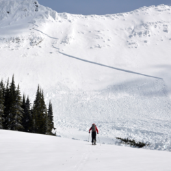 avalanche forecaster approaches debris of old avalanche