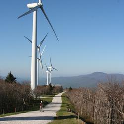 person on a gravel road along side a row of wind turbines