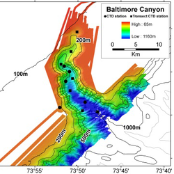 Baltimore Canyon, Outer continental Shelf