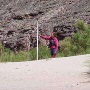 Surveying an exposed sandbar along the bank of the Colorado River 