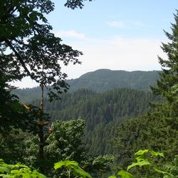 Views from Siuslaw National Forest