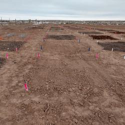 Restoration plots