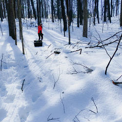 Shannon Fisher pulling sled at Moreau Lake