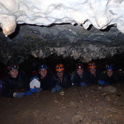 Salamander sampling crew