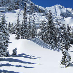 Mountains and pine trees covered with a thick layer of snow.