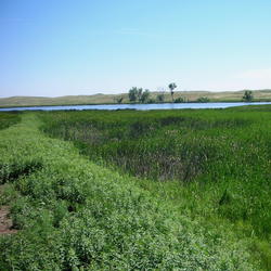 Photo of Sandhills Lake