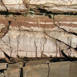 Photograph of road cut showing fractured sedimentary rocks