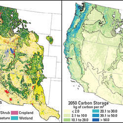 Projected land-use and land-cover (LULC) classes for the A1B scenario 