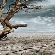 A droughted landscape showing a dried lake bed