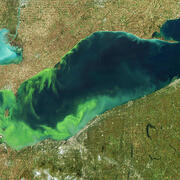 Satellite photo showing algal bloom in Lake Erie