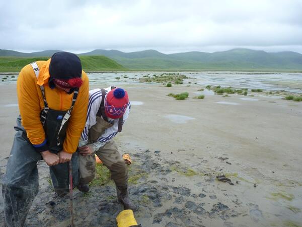 Image: Geologic Studies on Sitkinak Island, Alaska