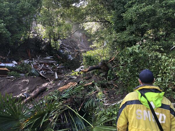 Person observes dirt and trees at base of hillside