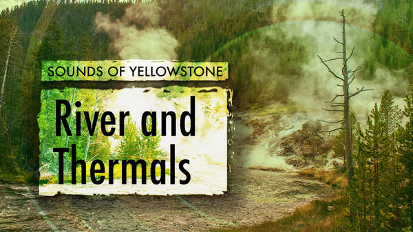 River and Thermal, Sounds of Yellowstone