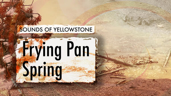 Frying Pan Springs, Sounds of Yellowstone