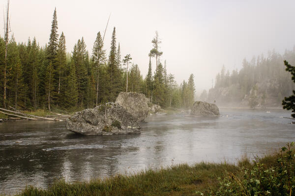 Three large boulders rest in the river with a haze of early morning fog lingering above. Tall pine trees line both sides.