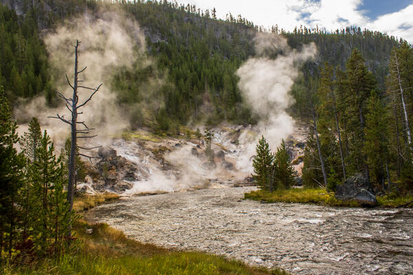 A river flowing to the background where it meets up with several steam vents rising off the ground.