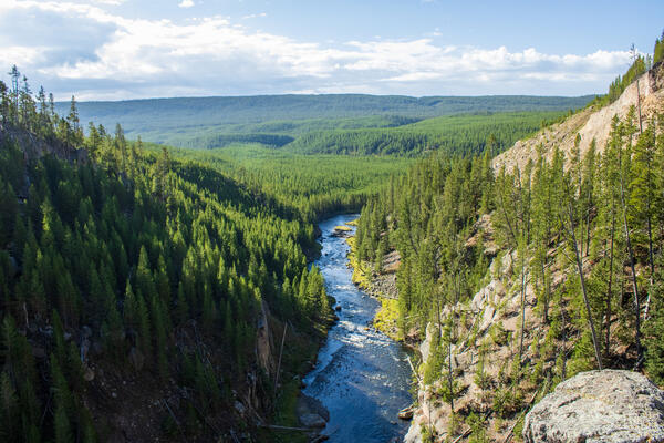 A river flows through a canyon into the distance.