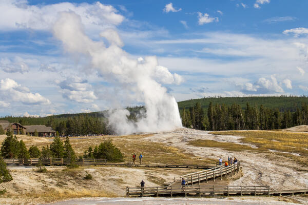 A tall stream of water erupts from Old Faithful geyser in the distance. People stand on a walkway watching.