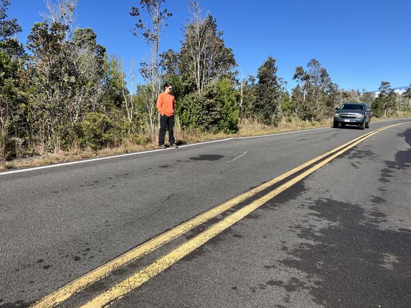 Color photograph of scientist standing near road