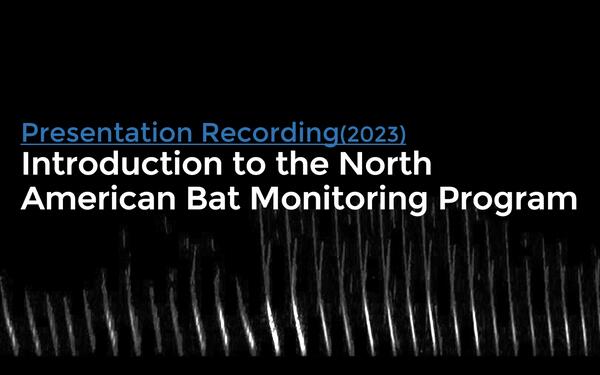 Title card for video: Introduction to the North American Bat Monitoring Program