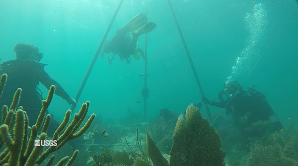 Scuba divers underwater on sea floor working with equipment.