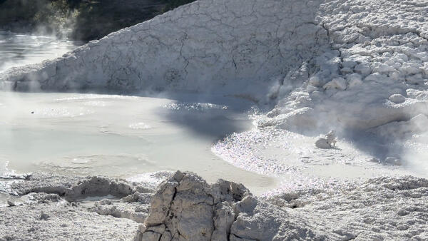 Bubbling mud with steam rising