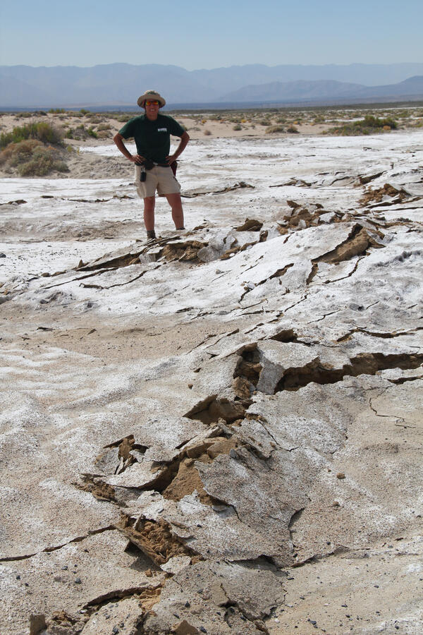 person standing next to moletrack through whitish-tan sand in desert