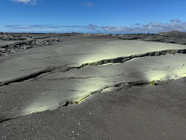 Color photograph of ground cracks with yellow suflur