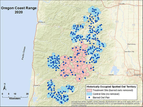 map with hexagon grid overlay depicting study areas and points depicting barred owl sightings in 2020