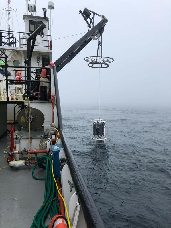 Photo off the side of a boat with a water collection rosette and fluoroprobe