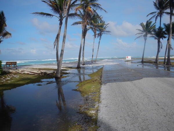 lone road lined by palm trees on a small flat island, with water from the sea washing over the road