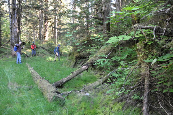 Alaska field team revisit Tocher's 1958  site